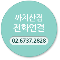 까치산점