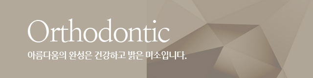 서브비주얼